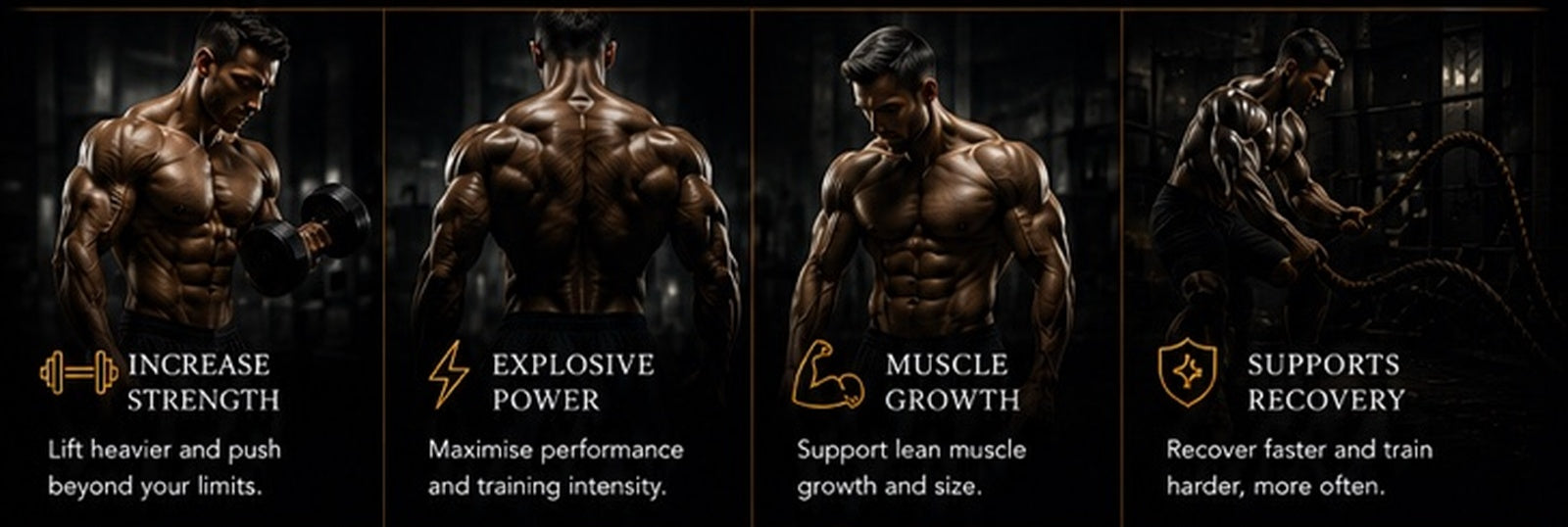 Increase strength, explosive power, muscle growth and recovery